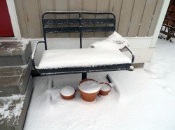 Looks like you get first tracks. Looks like you get first tracks.