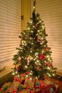 Fantastic, plastic, and it's all mine. Go tree! Fantastic, plastic, and it's all mine. Go tree!
