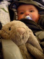 Jack and a bunny Jack and a bunny