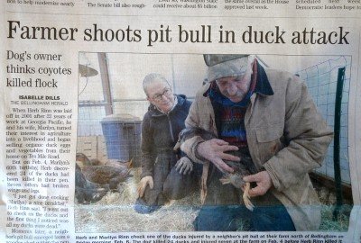 That's quacktastic! That's quacktastic!