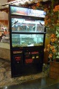 $4 for your chance at lobster goodness $4 for your chance at lobster goodness