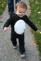 Running skunk