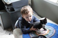 Hi Kitty. Pet. Gentle.