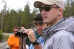 Everyone stares at the bears.