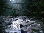 I love this creek. I love this creek.
