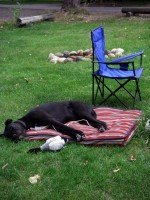 Worms make Griffen tired.