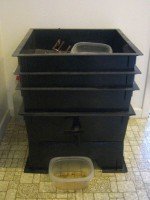 Bin = 1