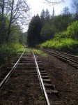 Old tracks by Mirror Pond. Old tracks by Mirror Pond.